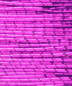 Supplies ProWrap Metallic Rod Winding Thread - Size D (100 Yds) 56 Supplies ProWrap Metallic Rod Winding Thread - Size D (100 Yds)