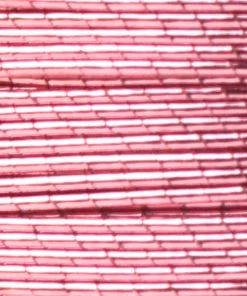 Supplies ProWrap Metallic Rod Winding Thread - Size D (100 Yds) 58 Supplies ProWrap Metallic Rod Winding Thread - Size D (100 Yds)