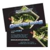 Mud Hole Custom Business Cards: Largemouth Bass Chasing Lure Gear 2 Mud Hole Custom Business Cards: Largemouth Bass Chasing Lure Gear