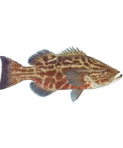 Mud Hole 4" Gamefish Boat & Truck Window Stickers 69 Mud Hole 4