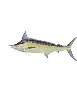 Mud Hole 4" Gamefish Boat & Truck Window Stickers 71 Mud Hole 4