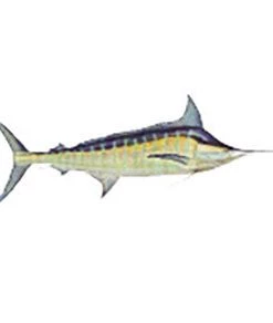 CRB Gamefish Rod Decals 65 CRB Gamefish Rod Decals