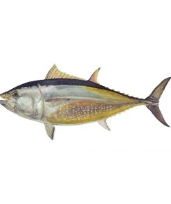 Mud Hole 4" Gamefish Boat & Truck Window Stickers 72 Mud Hole 4