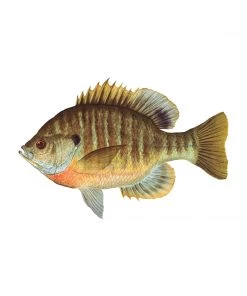 Mud Hole 4" Gamefish Boat & Truck Window Stickers 74 Mud Hole 4