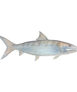 Mud Hole Truck Decals & Stickers 12