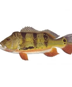 Mud Hole 4" Gamefish Boat & Truck Window Stickers 79 Mud Hole 4