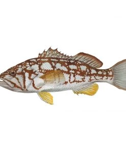 Mud Hole 4" Gamefish Boat & Truck Window Stickers 80 Mud Hole 4