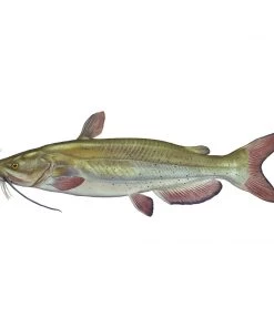 Mud Hole Truck Decals & Stickers 12