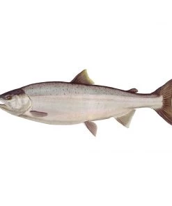 Mud Hole 4" Gamefish Boat & Truck Window Stickers 86 Mud Hole 4