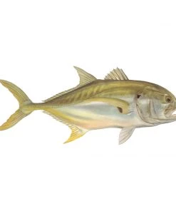 Mud Hole 4" Gamefish Boat & Truck Window Stickers 87 Mud Hole 4