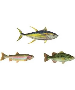 CRB Gamefish Rod Decals