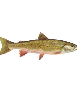 Mud Hole Truck Decals & Stickers 12