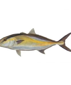 Mud Hole 4" Gamefish Boat & Truck Window Stickers 94 Mud Hole 4