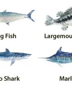 CRB Japanese Gyotaku Fish Art Decals By Marshall Madruga