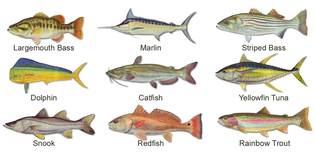 Mud Hole Custom Hoodie: Bamboo Frame With Crossing Rods Gear 5 Mud Hole Custom Hoodie: Bamboo Frame With Crossing Rods Gear