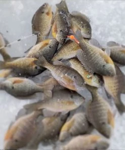 Ice Strong Titanium Spring Bobbers Ice Rod Guides