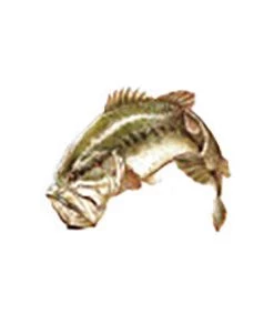 CRB Gamefish Rod Decals