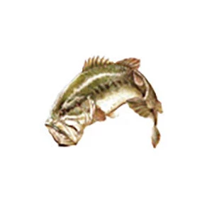 CRB Gamefish Rod Decals 4 CRB Gamefish Rod Decals