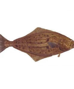 Mud Hole 4" Gamefish Boat & Truck Window Stickers 101 Mud Hole 4