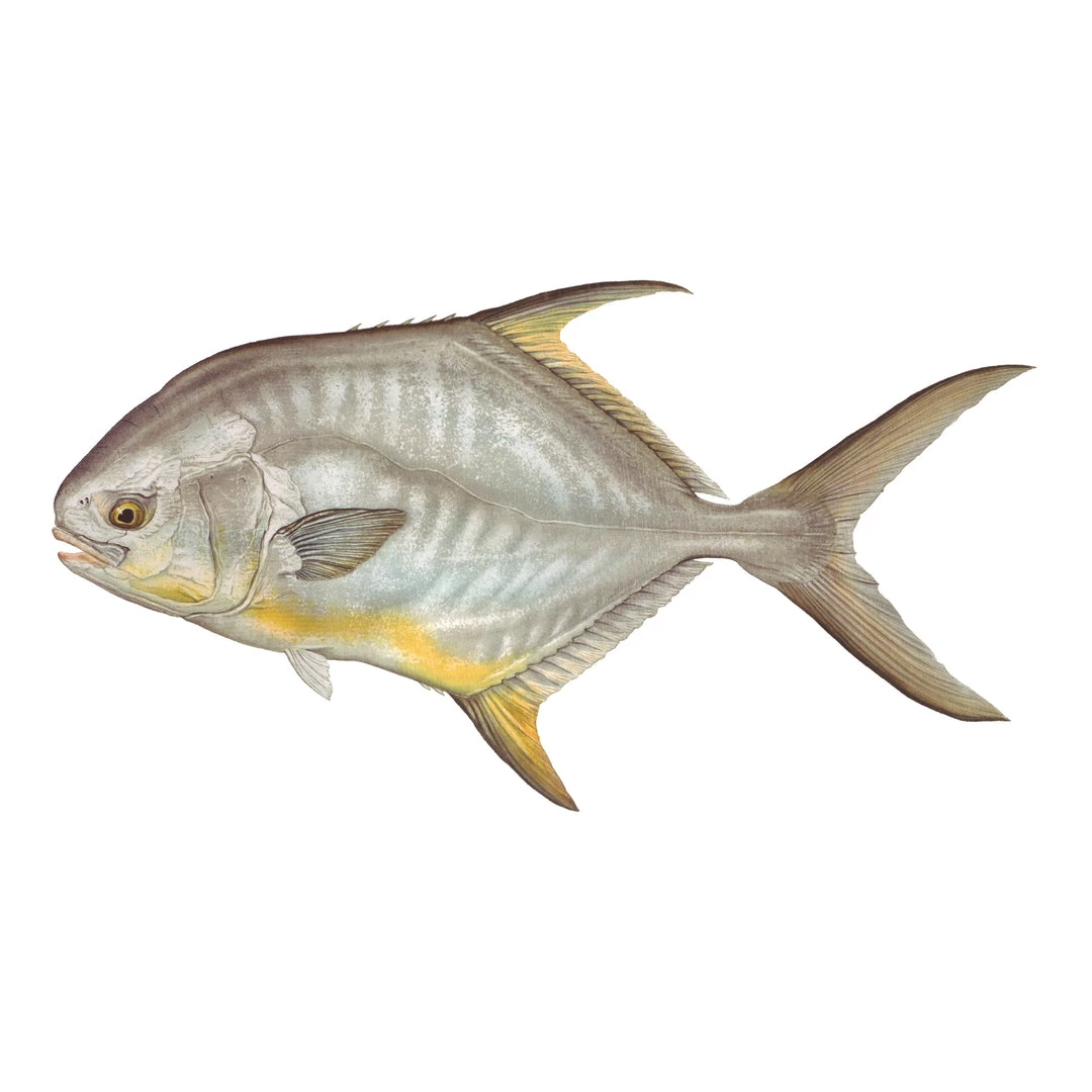 Mud Hole 4" Gamefish Boat & Truck Window Stickers 43 Mud Hole 4" Gamefish Boat & Truck Window Stickers