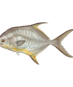 Mud Hole Truck Decals & Stickers 12