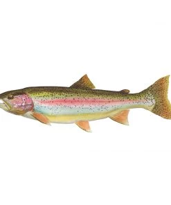 Mud Hole Truck Decals & Stickers 12