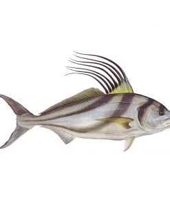 Mud Hole 4" Gamefish Boat & Truck Window Stickers 110 Mud Hole 4