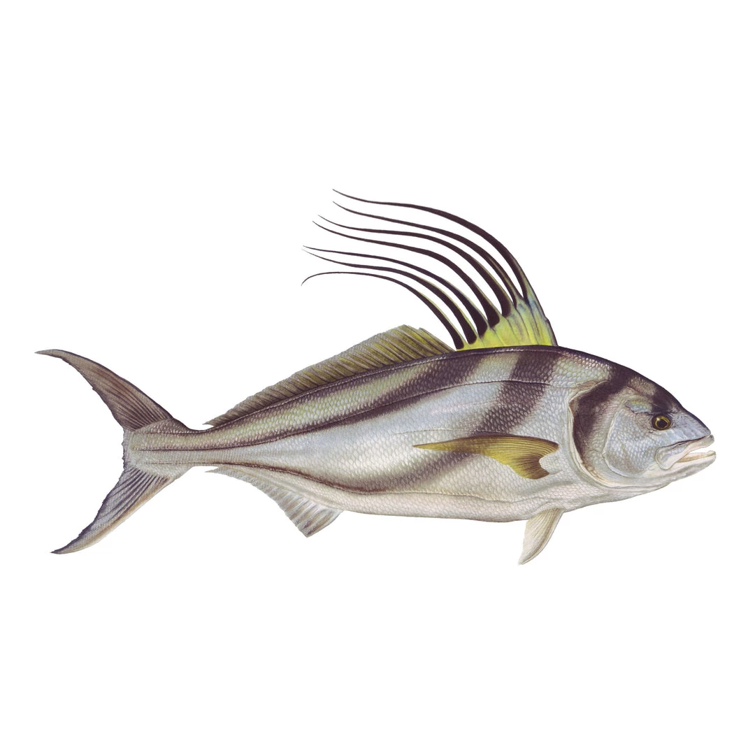 Mud Hole 4" Gamefish Boat & Truck Window Stickers 51 Mud Hole 4" Gamefish Boat & Truck Window Stickers