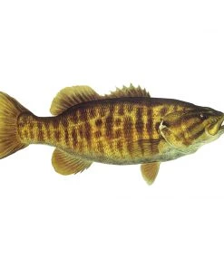 Mud Hole 4" Gamefish Boat & Truck Window Stickers 107 Mud Hole 4