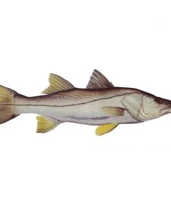 Mud Hole 4" Gamefish Boat & Truck Window Stickers 108 Mud Hole 4