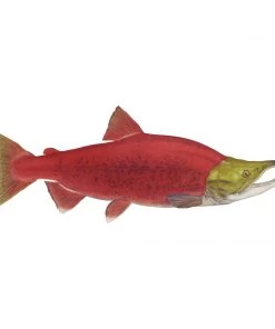 Mud Hole 4" Gamefish Boat & Truck Window Stickers 121 Mud Hole 4