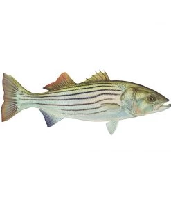 Mud Hole 4" Gamefish Boat & Truck Window Stickers 113 Mud Hole 4