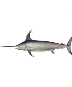 Mud Hole Truck Decals & Stickers 12