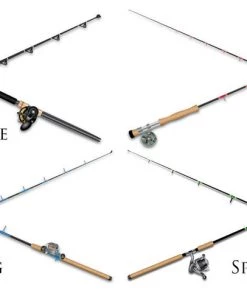 Mud Hole Gear Custom T-Shirt: Assorted Saltwater Gamefish