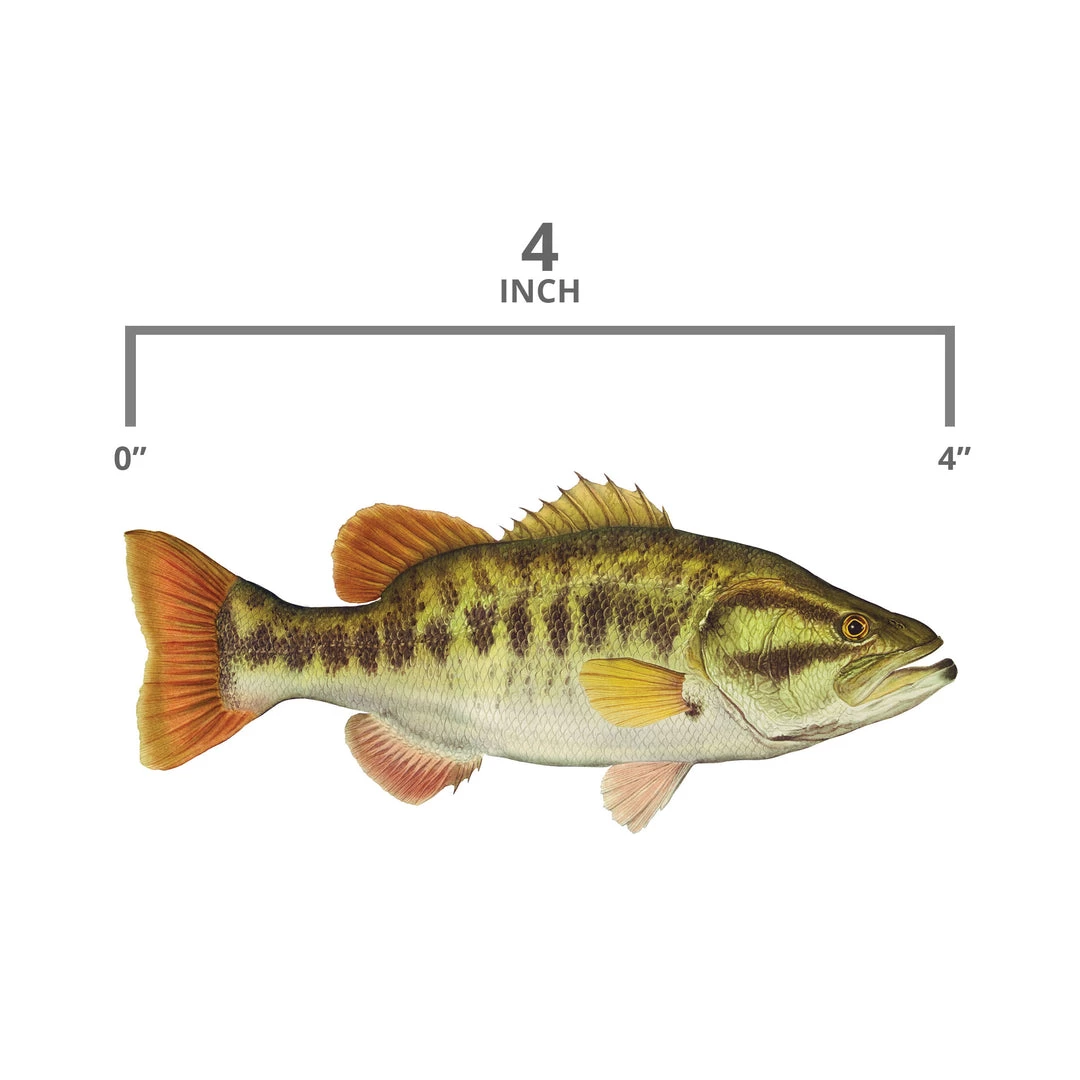 Mud Hole 4" Gamefish Boat & Truck Window Stickers 4 Mud Hole 4" Gamefish Boat & Truck Window Stickers