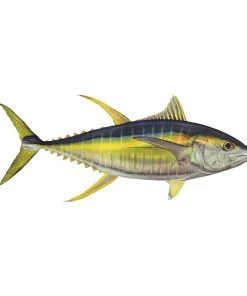 Mud Hole Truck Decals & Stickers 12