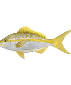 Mud Hole 4" Gamefish Boat & Truck Window Stickers 120 Mud Hole 4