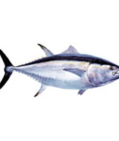 CRB Gamefish Rod Decals 66 CRB Gamefish Rod Decals