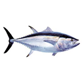 CRB Gamefish Rod Decals 10 CRB Gamefish Rod Decals