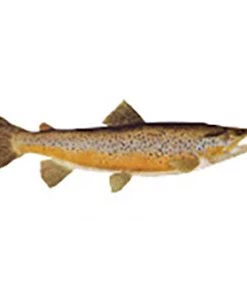 CRB Gamefish Rod Decals 69 CRB Gamefish Rod Decals