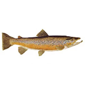 CRB Gamefish Rod Decals 13 CRB Gamefish Rod Decals