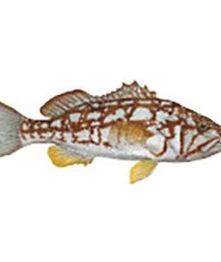 CRB Gamefish Rod Decals 70 CRB Gamefish Rod Decals