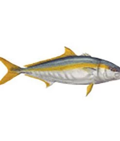 CRB Gamefish Rod Decals 71 CRB Gamefish Rod Decals