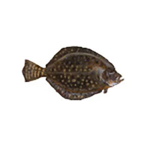 CRB Gamefish Rod Decals 20 CRB Gamefish Rod Decals