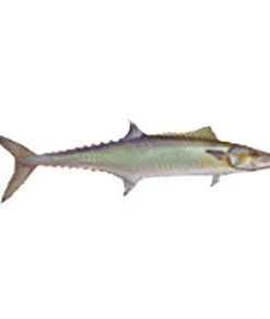 CRB Gamefish Rod Decals 115 CRB Gamefish Rod Decals