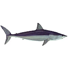 CRB Gamefish Rod Decals 22 CRB Gamefish Rod Decals