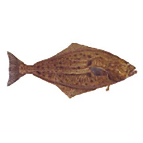 CRB Gamefish Rod Decals 26 CRB Gamefish Rod Decals