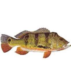 CRB Gamefish Rod Decals 109 CRB Gamefish Rod Decals