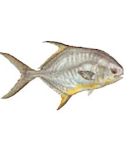 CRB Gamefish Rod Decals 83 CRB Gamefish Rod Decals