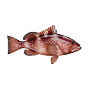 CRB Gamefish Rod Decals 30 CRB Gamefish Rod Decals